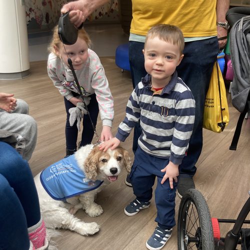 Freddie petting a GOSH therapy dog